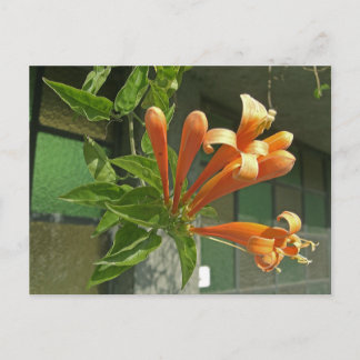 Rutsche 1 postkarte
