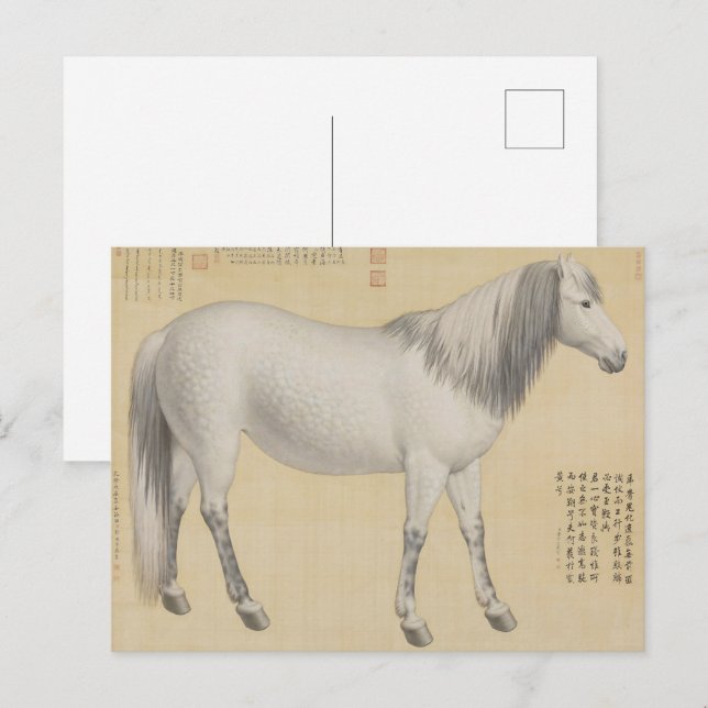Ruyi cong("As-You-Wish" Piebald) Postkarte (Vorne/Hinten)