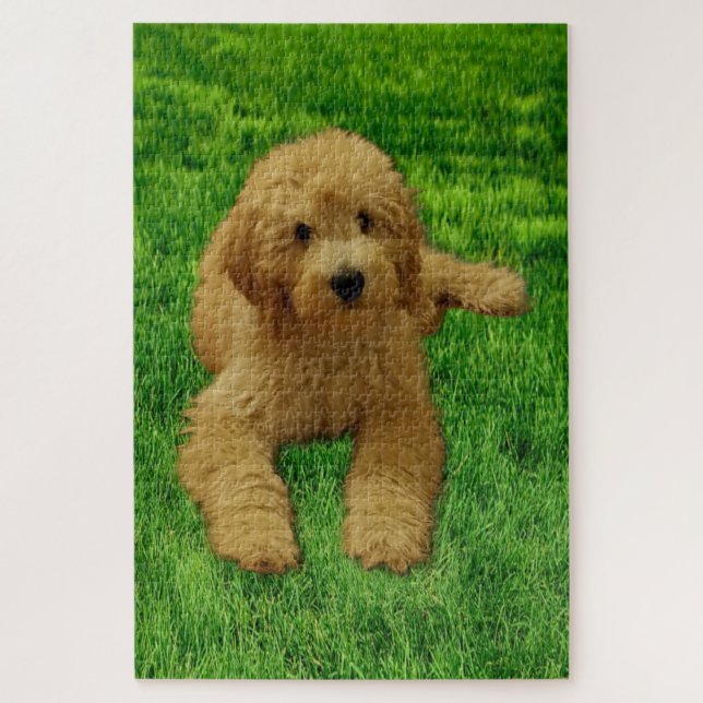 Rx the Goldendoodle Puzzle (Vertikal)