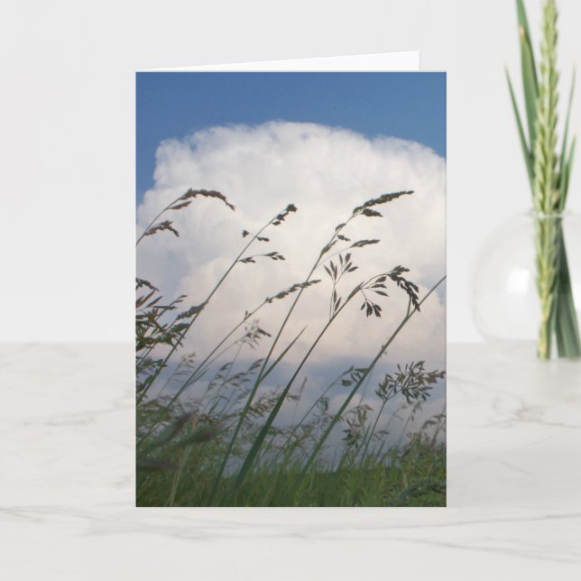 "Rye and Sky" Photo Card Karte (Vorderseite)