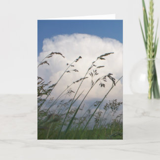 "Rye and Sky" Photo Card Karte