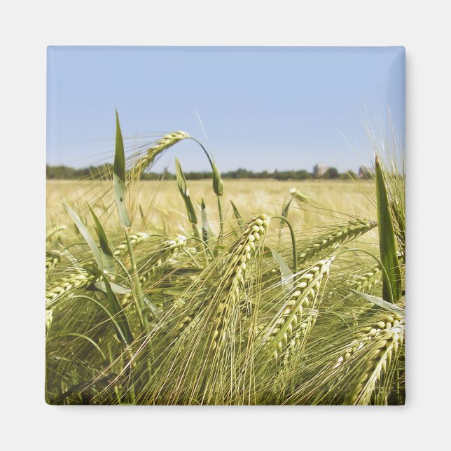 Rye Magnet (Vorne)