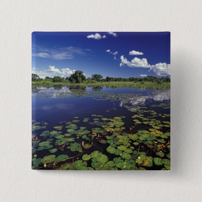 S.A., Brasilien, Wasserstraßen in Pantanal Button (Vorderseite)