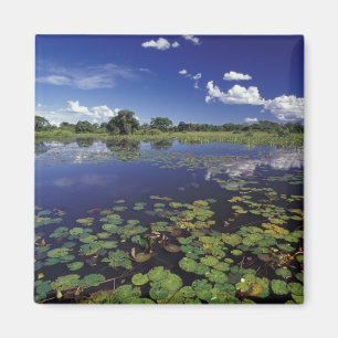 S.A., Brasilien, Wasserwege im Pantanal Magnet