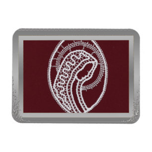 S. Mary Elegantes Foto an der silbernen Grenze Magnet