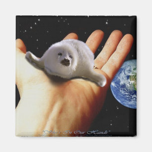 S.O.S. RETTE UNSERE HARP-SIEGEL MAGNET