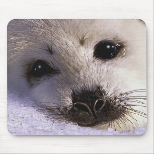 S.O.S. RETTE UNSERE HARP SIEGEL Wildlife Mousepad