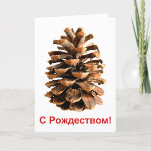 S Rozhdestvom — Jerusalem Pine Cone Feiertagskarte