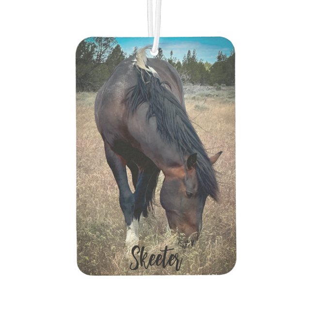S Steens Stallions Air Freshener Autolufterfrischer (Rückseite)