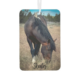 S Steens Stallions Lufterfrischer