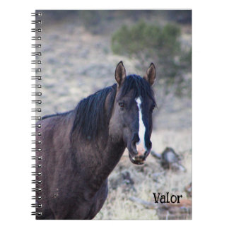 S Steens Stallions Tote Notizblock