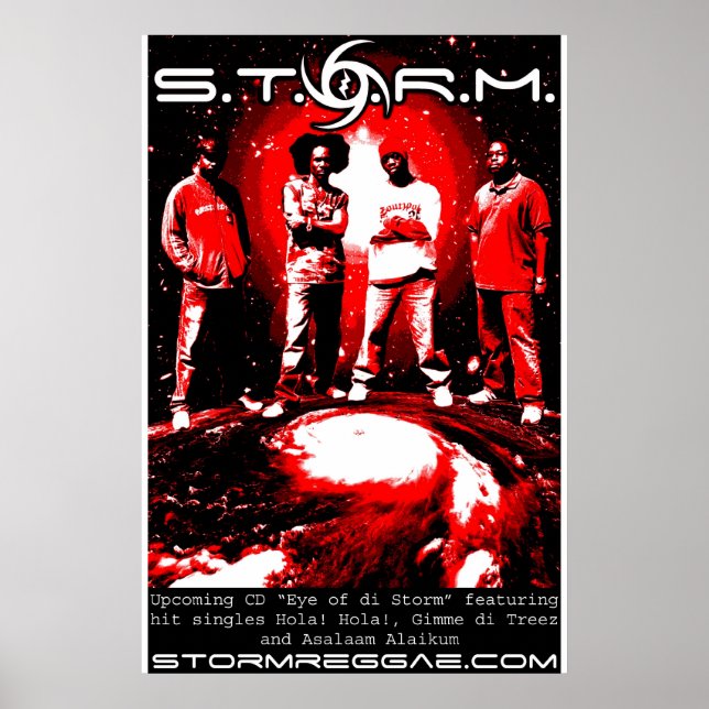 S.T.O.R.M. Poster (Vorne)