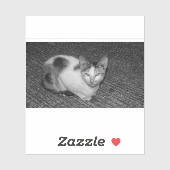 S/W - Katze 03 Aufkleber (Blatt)