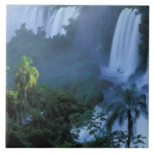 SA, Brasilien, Parana Staat; Iguacu NP, Iguacu Fliese