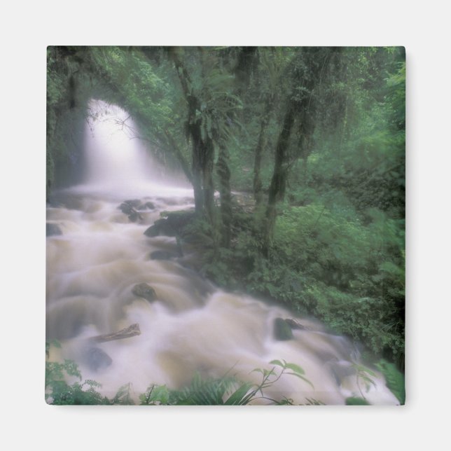 SA, Peru, S.H. Machu Picchu, Cascade und Cloud Magnet (Vorne)