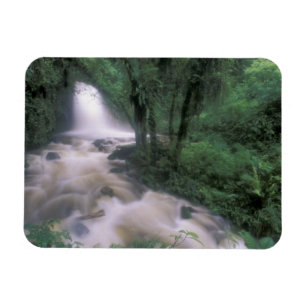 SA, Peru, S.H. Machu Picchu, Cascade und Cloud Magnet