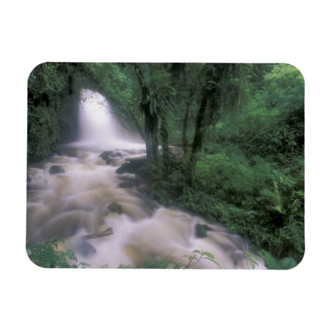 SA, Peru, S.H. Machu Picchu, Cascade und Cloud Magnet (Horizontal)