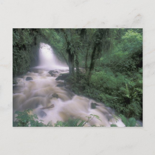 SA, Peru, S.H. Machu Picchu, Cascade und Cloud Postkarte (Vorderseite)