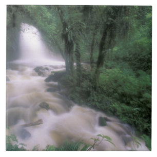 SA, Peru, S.H. Machu Picchu, Wasserfall und Wolke Fliese