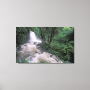 SA, Peru, S.H. Machu Picchu, Wasserfall und Wolke Leinwanddruck