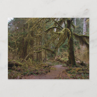 Saal Mosses Postkarte