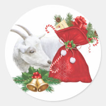 Saanen Goat Holiday Spirit