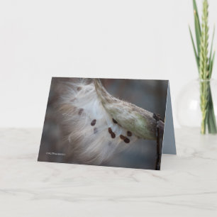 Saatgut 4 morgen karte