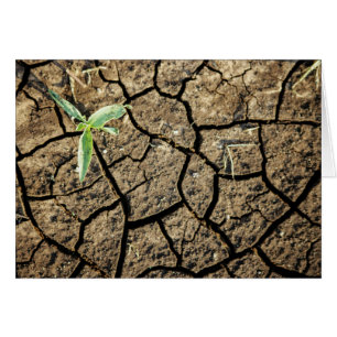 Saatgut auf der kruktierten Erde