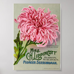 Saatgut der Vintagen Blume, Circa 1911 Poster