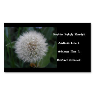 Saatgut von Dandelion-Blume für kundenspezifische  Magnetische Visitenkarte