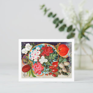 Saatgutpackungen. Postkarte