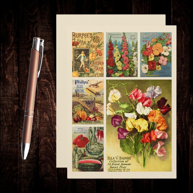 Saatgutpaketkatalog Vintage Blume Mitteilungskarte (Von Creator hochgeladen)