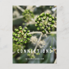 Saatgutpfeife - Postkarte zum Manifest von Verbind