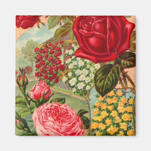 Saatkatalog 12 Magnet