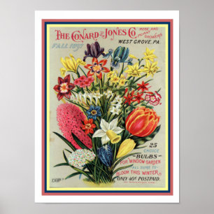 Saatkatalog 1897 Blume, 12 x 16 Poster