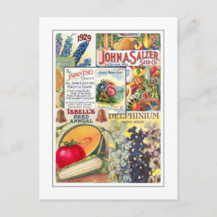 Saatpackungen Postkarte