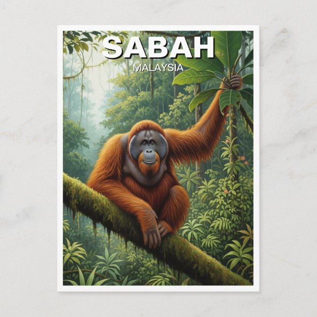 Sabah Malaysia Orangutan Travel Postkarte (Vorderseite)
