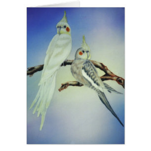 "Sabastian und Tootie-Ann "