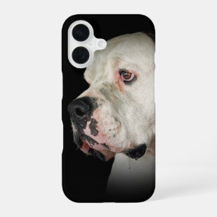 sabbernder Amerikanischer Bulldogge iPhone 16 Hülle