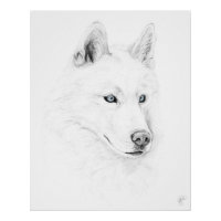 Saber A Siberian Husky Zeichne Art Blue Eyes