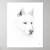Saber A Siberian Husky Zeichne Art Blue Eyes