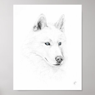 Saber A Siberian Husky Zeichne Art Blue Eyes Poster