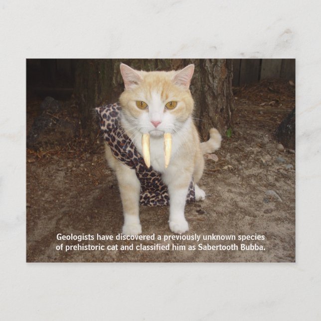 Saberzahnba Bubba Postkarte (Vorderseite)