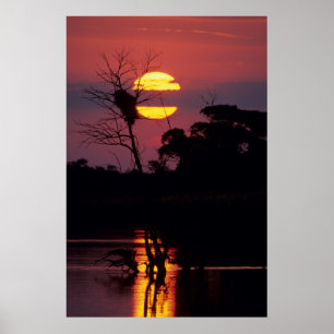 Sabi River At Sunset, Krüger Nationalpark Poster