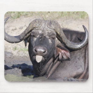 Sabi Sands Conservancy, Provinz Mpumalanga, 2 Mousepad