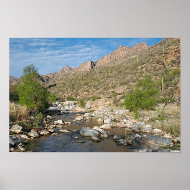 Sabino Canyon Abend Poster (Vorne)