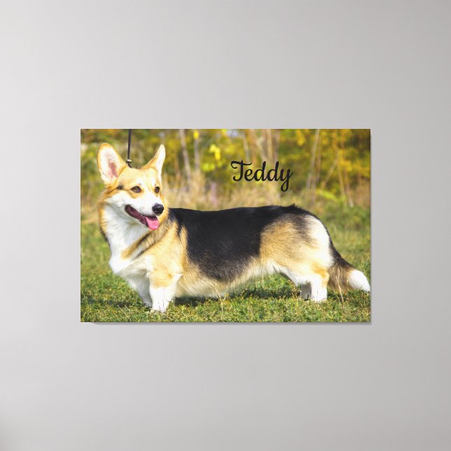 Sable Cardigan Welsh Corgi Dog Leinwanddruck (Vorderseite)