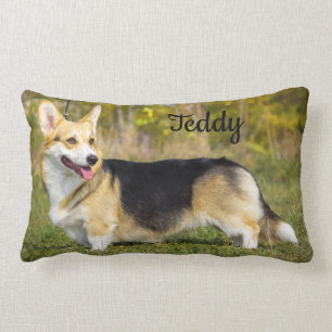 Sable Cardigan Welsh Corgi Dog Lendenkissen
