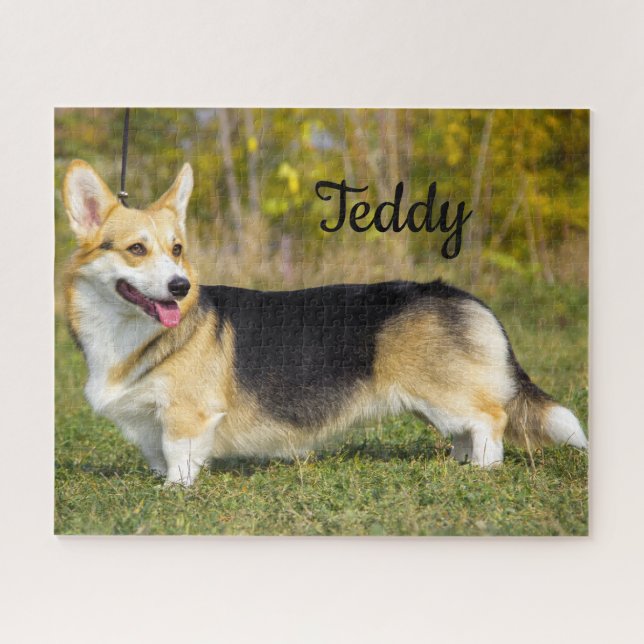 Sable Cardigan Welsh Corgi Dog Puzzle (Horizontal)