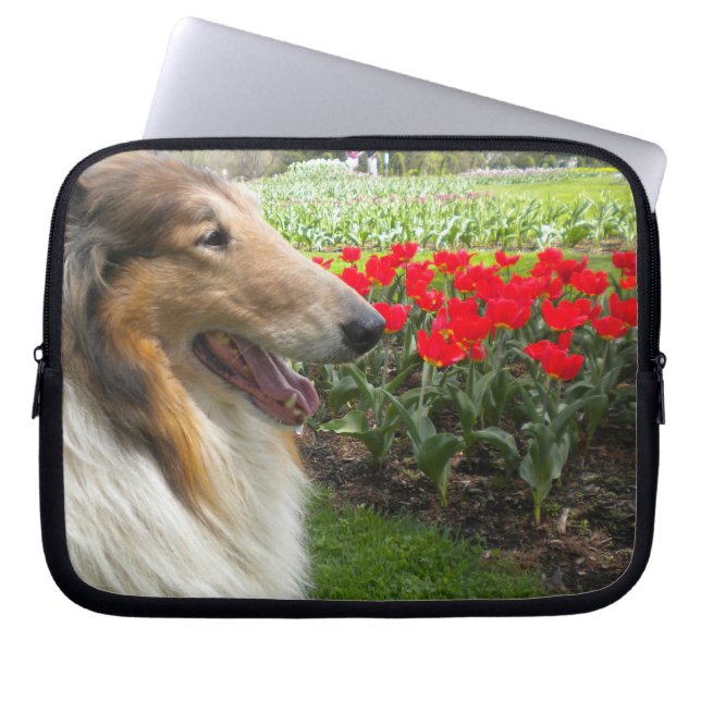 Sable Collie N Red Tulips Laptop Sleeve (Vorderseite)